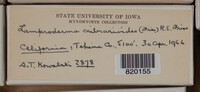 Image Associated With the Occurence